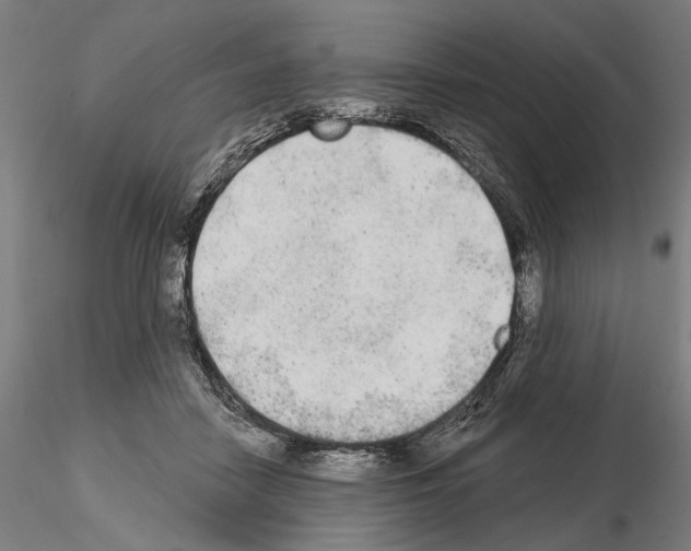 X0000114990458200912071120