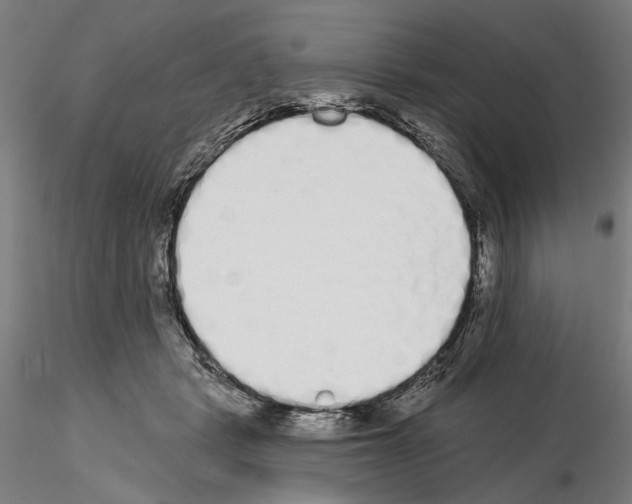 X0000114990461200912071120