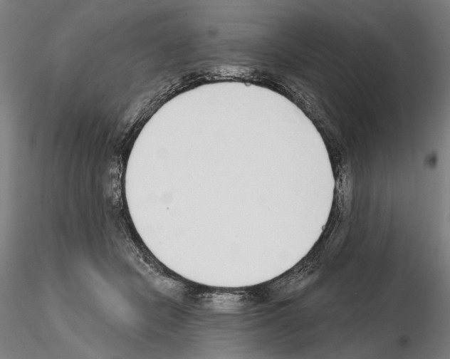 X0000114990462200912071120