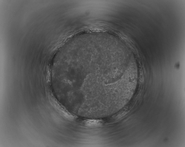 X0000114990465200912071120