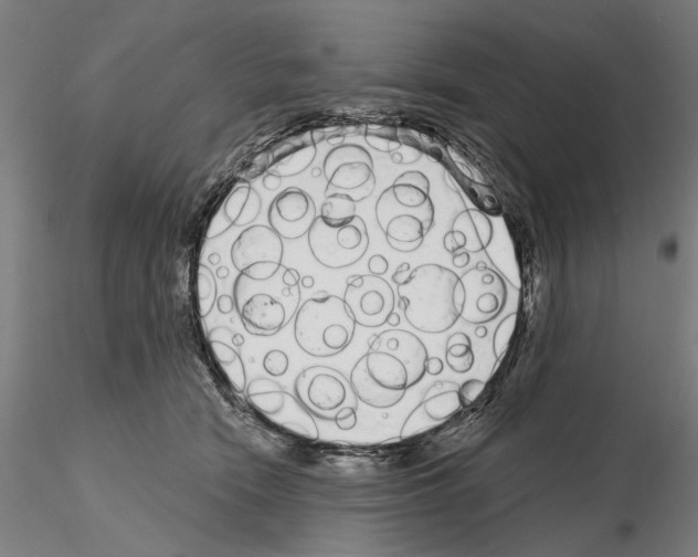 X0000114990466200912071120