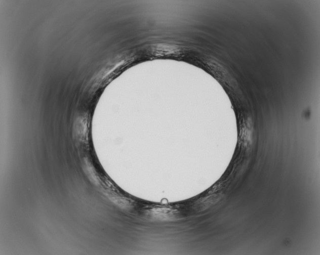 X0000114990468200912071121