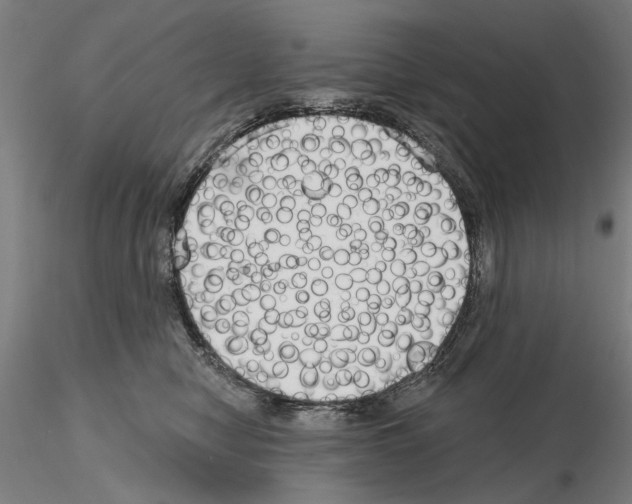 X0000114990470200912071121