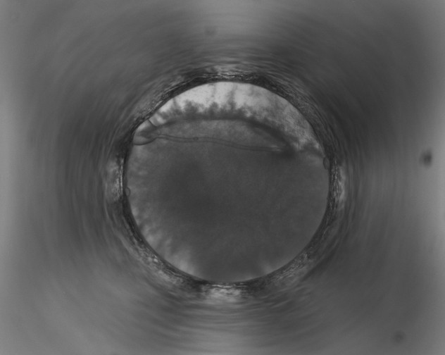 X0000114990471200912071121