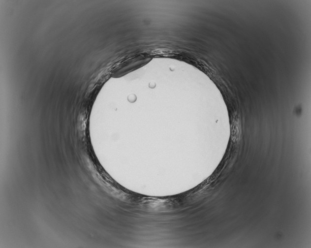 X0000114990472200912071121