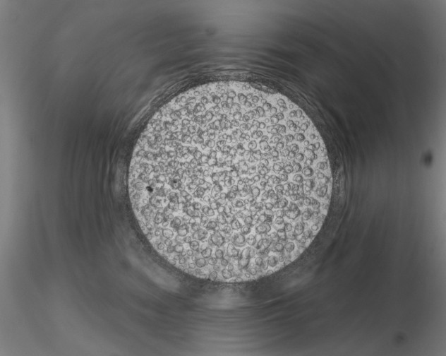 X0000114990474200912071121