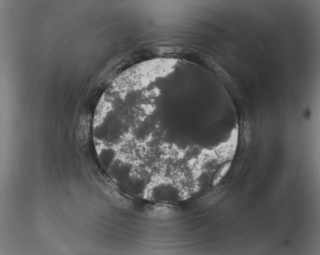 X0000114990475200912071121