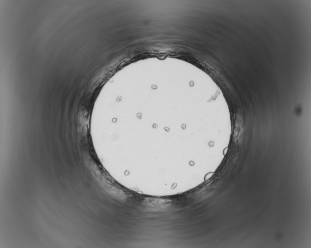 X0000114990476200912071121