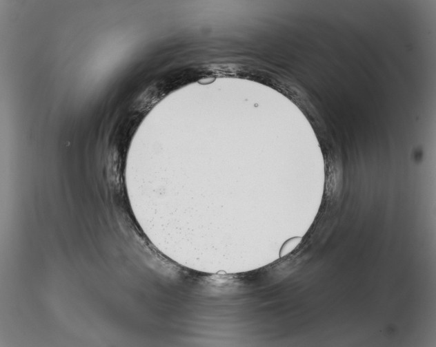 X0000114990477200912071121