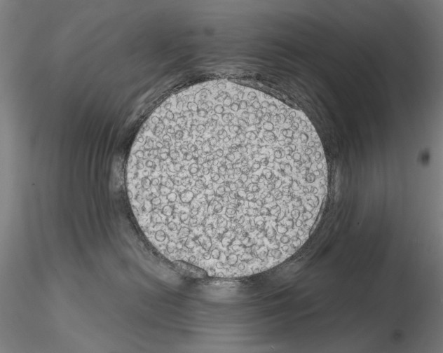 X0000114990478200912071121