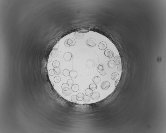 X0000114990480200912071121