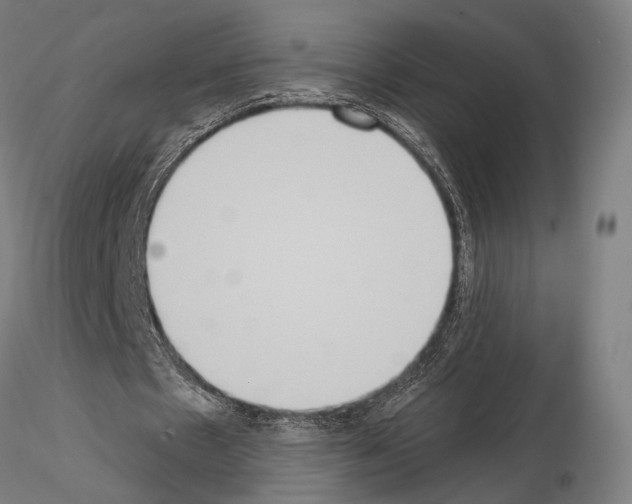 X0000114990481200912071120