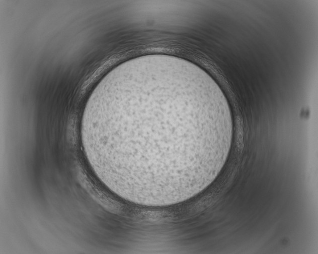 X0000114990482200912071120