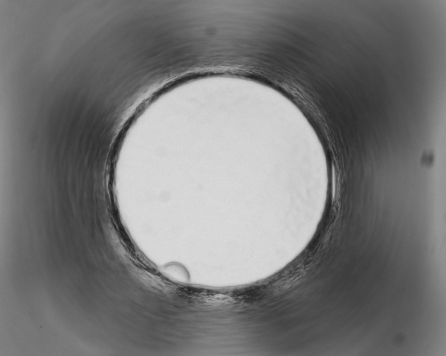 X0000114990483200912071120