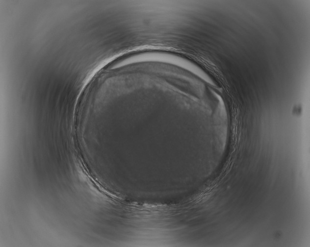 X0000114990484200912071120