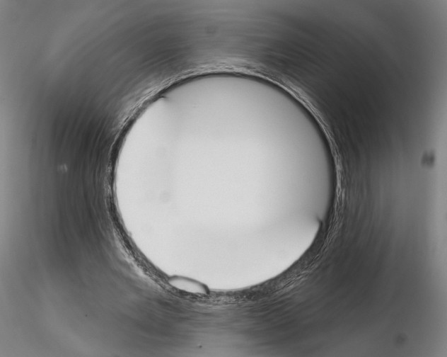 X0000114990485200912071120