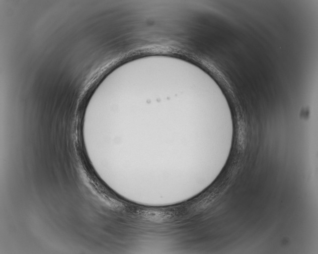 X0000114990486200912071120