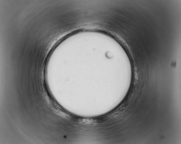 X0000114990487200912071120