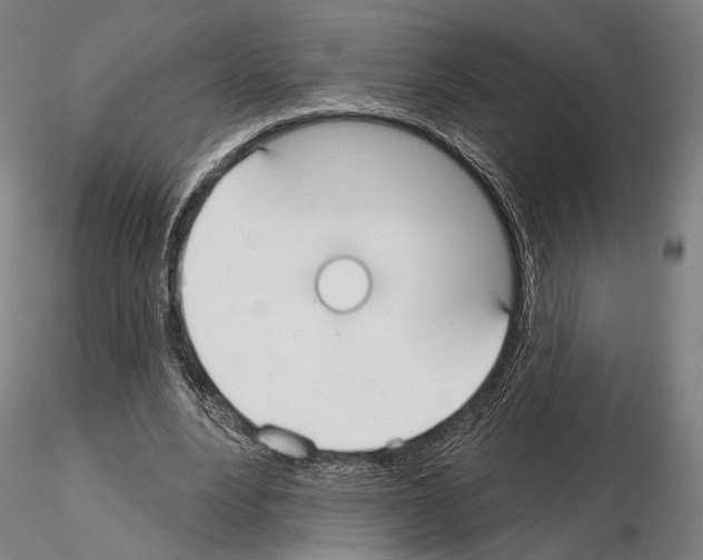 X0000114990488200912071120