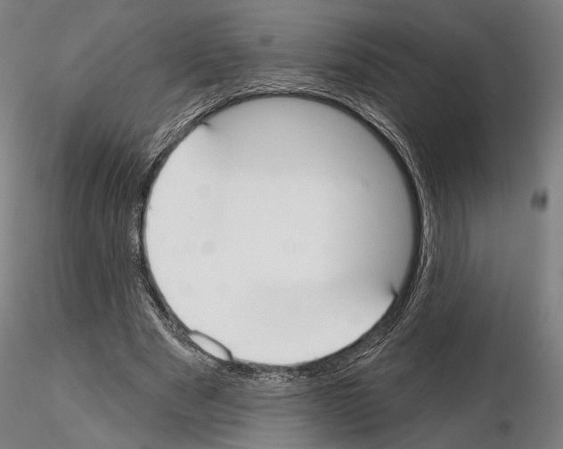 X0000114990489200912071120