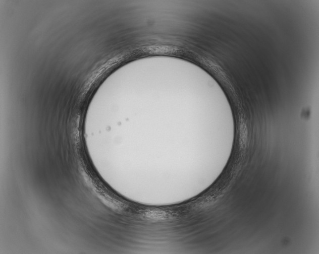 X0000114990490200912071120