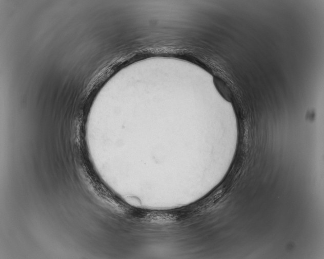 X0000114990491200912071120