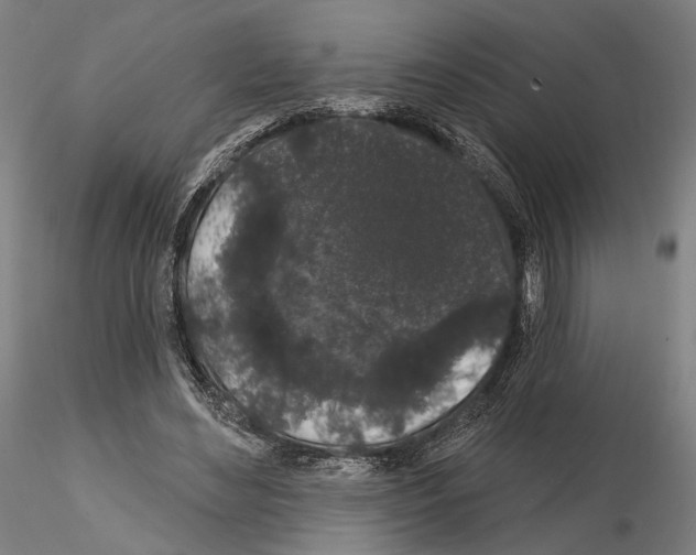 X0000114990492200912071120