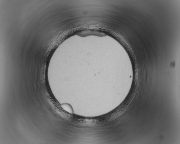 X0000114990493200912071120