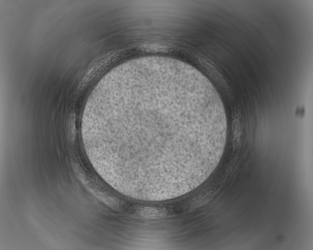 X0000114990494200912071120