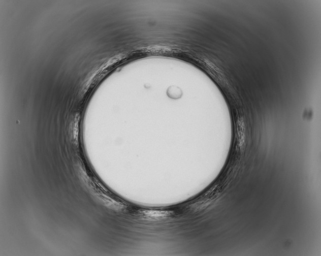 X0000114990495200912071120