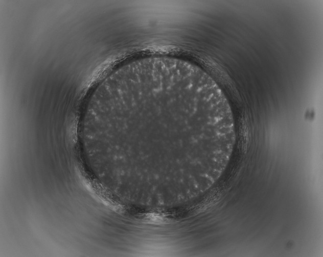 X0000114990496200912071120