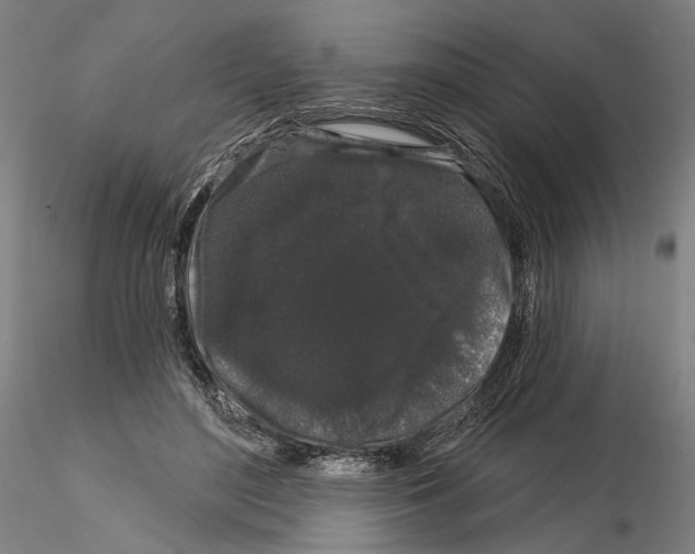 X0000114990500200912071120