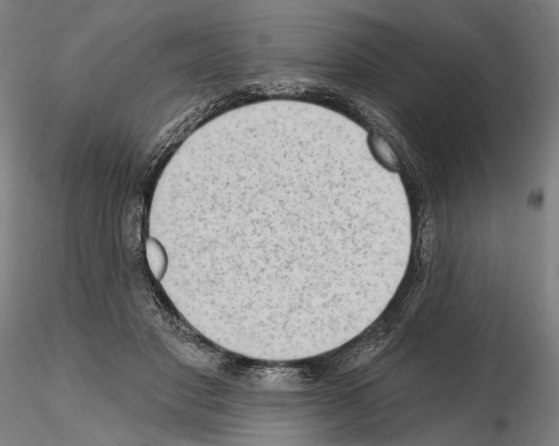 X0000114990501200912071120