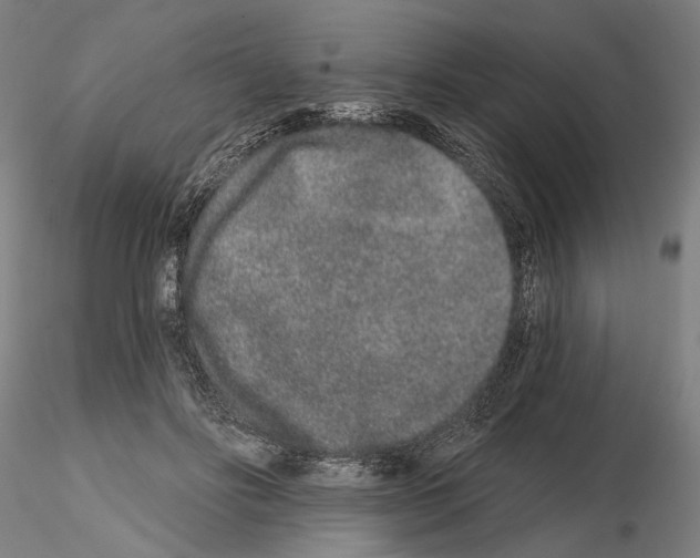 X0000114990502200912071120