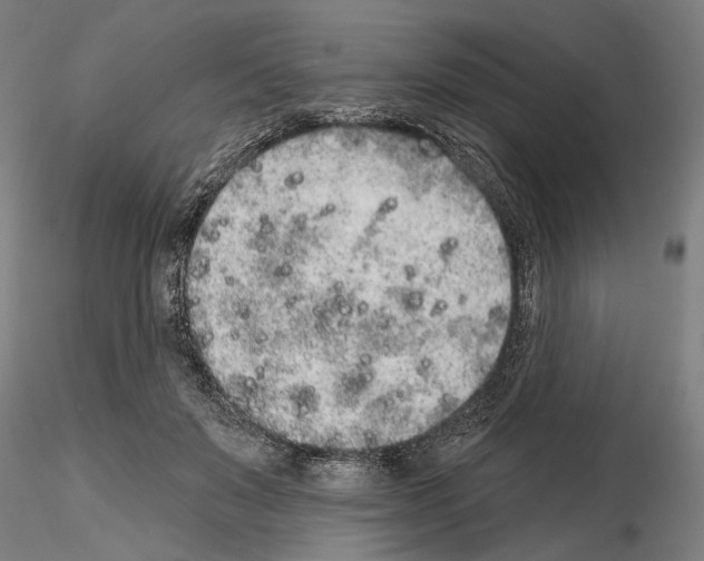 X0000114990503200912071120