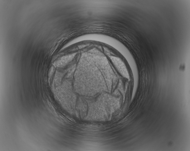 X0000114990504200912071120