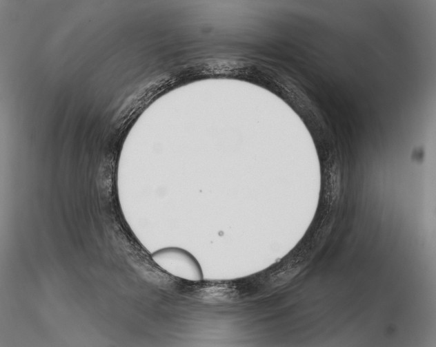 X0000114990505200912071120