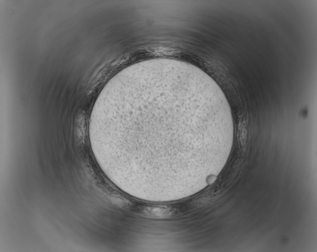 X0000114990506200912071120