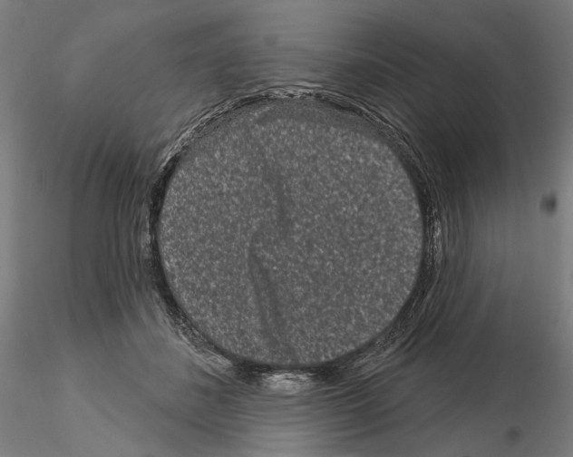 X0000114990508200912071120