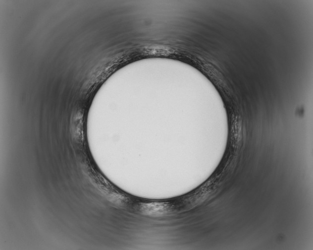 X0000114990511200912071120