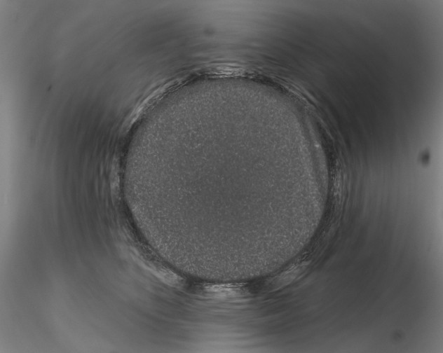 X0000114990516200912071120