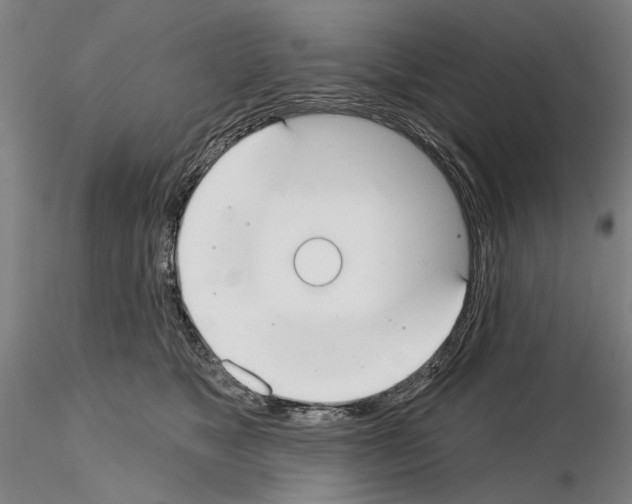 X0000114990517200912071120