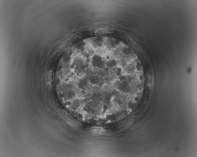 X0000114990519200912071119