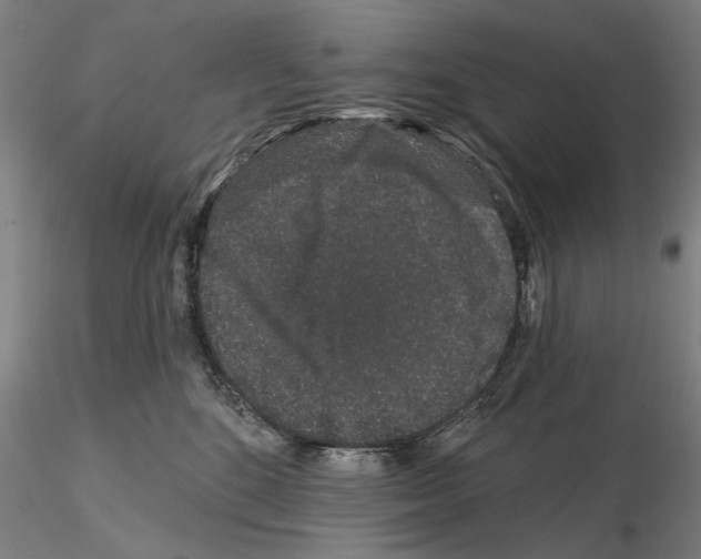 X0000114990520200912071119