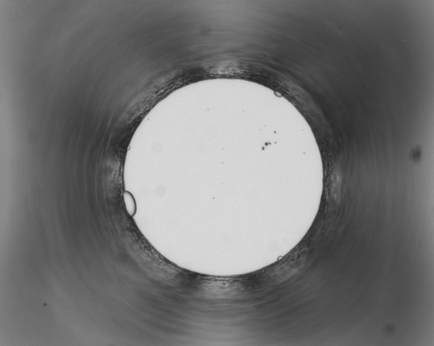 X0000114990521200912071119