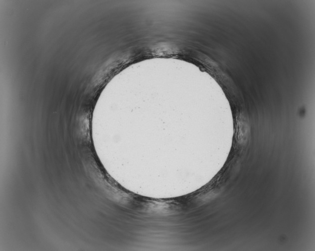 X0000114990523200912071119