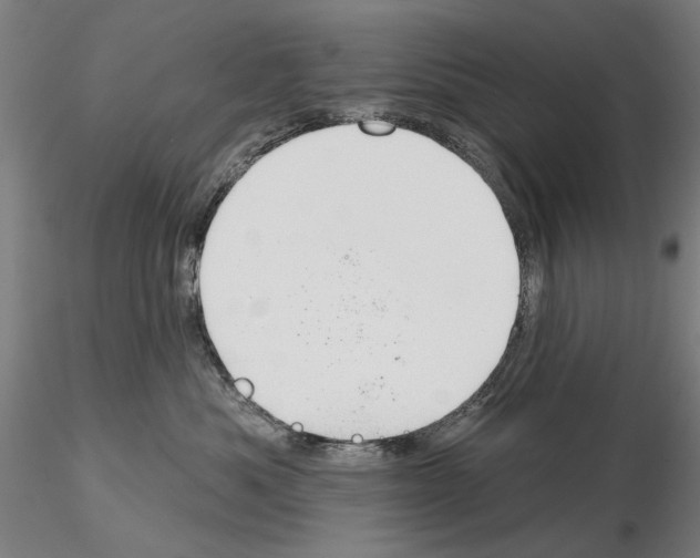 X0000114990525200912071119