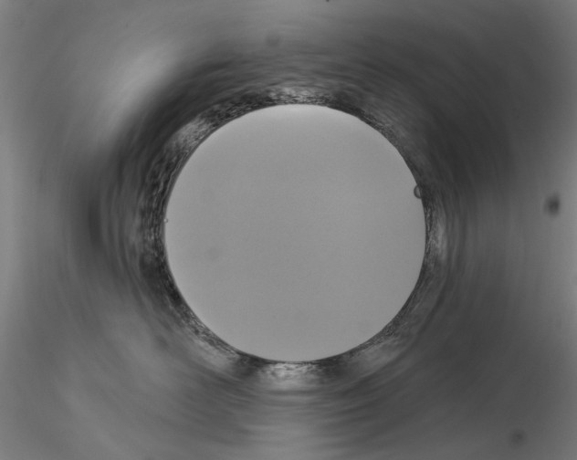 X0000114990526200912071119