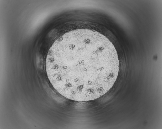 X0000114990527200912071119