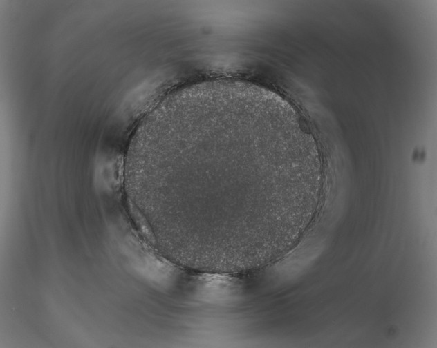 X0000114990528200912071119